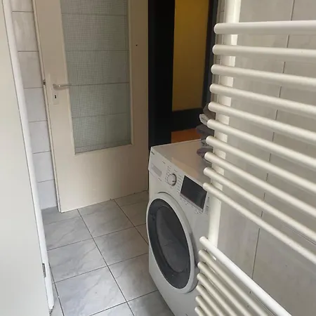 Mano 31